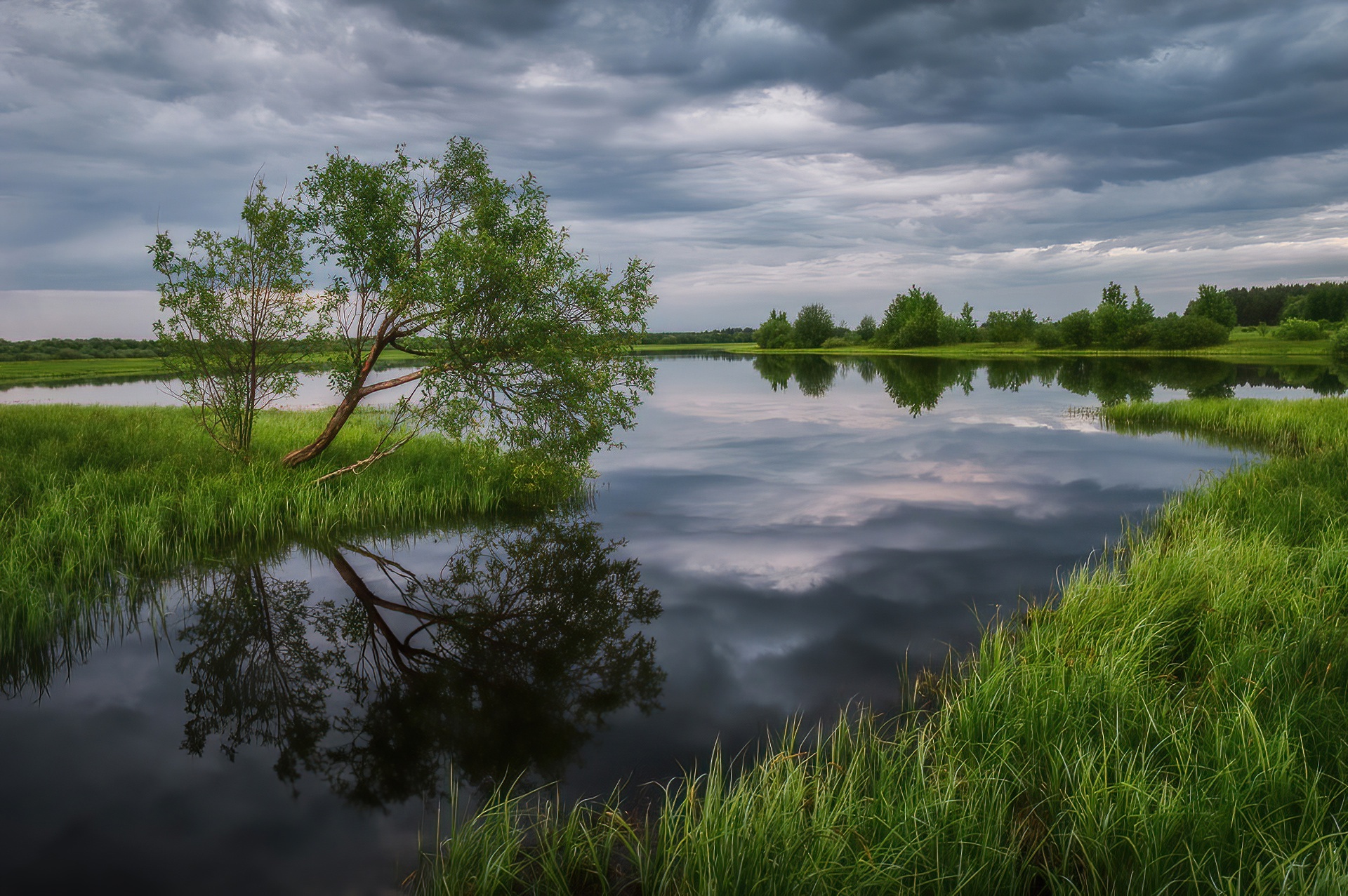 Река Печора в лесах Республики Коми | Пейзажи, Парк, Лес